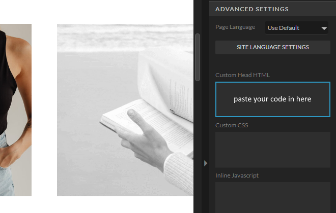 A screenshot showing how to add code to the head of your Showit website