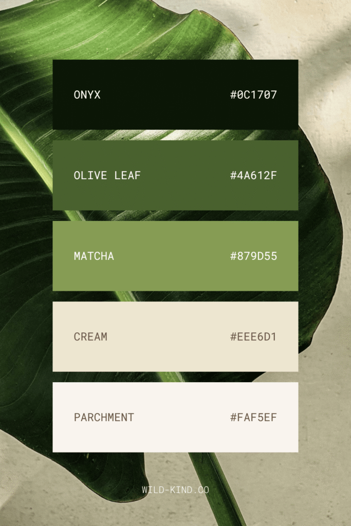 A website color palette for business coaches and strategists in grounded earthy tones
