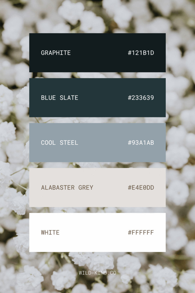 A website color palette for consultants and corporate coaches in cool, crisp tones